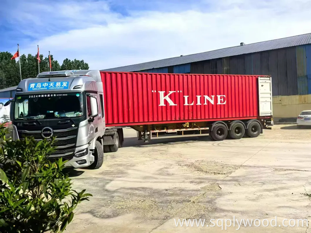 Durable Solid Interior Custom Wood Plastic Wood Composite WPC Wall Panel for Decoration